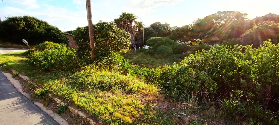 0 Bedroom Property for Sale in Paradise Beach Eastern Cape